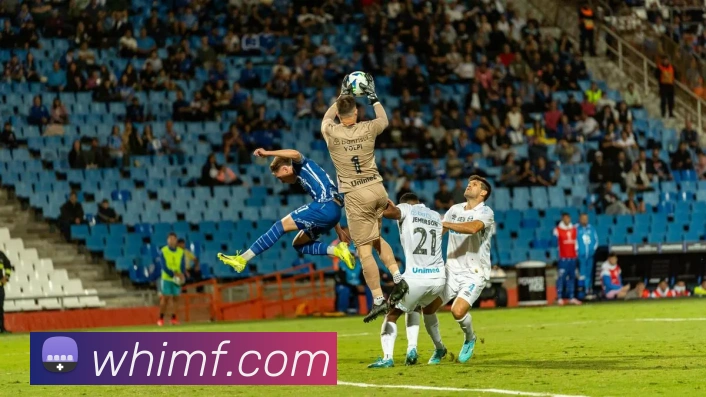 奖项证书